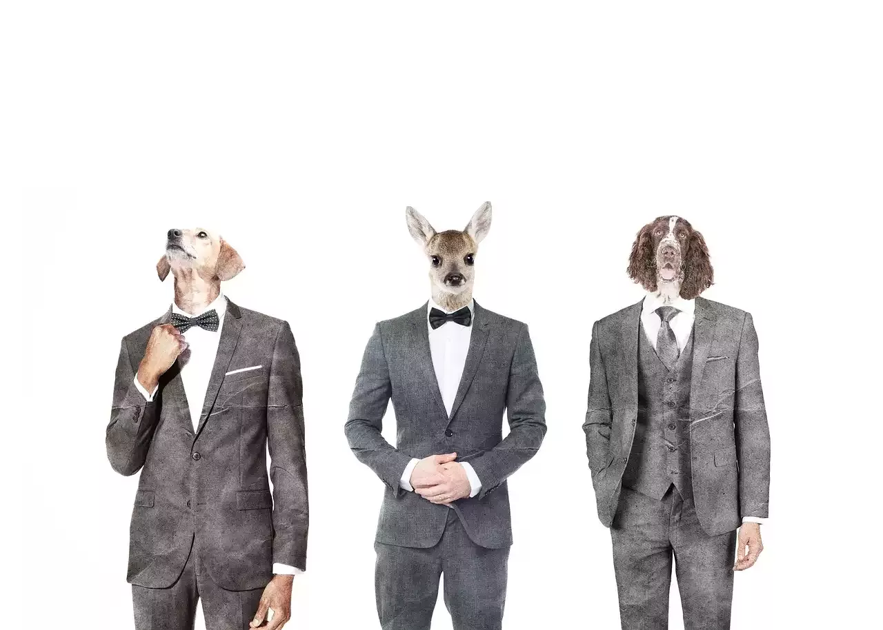 מעצבי האופנה המשפיעים ביותר של שנות ה-70